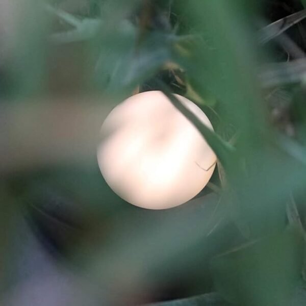 Baby Night Light – Soft Silicone Touch Lamp with Stepless Dimming - Image 7